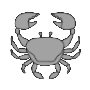 cancer